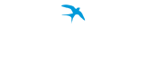 Wing Money