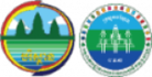 General Directorate of Policy and Strategy (GDPS)